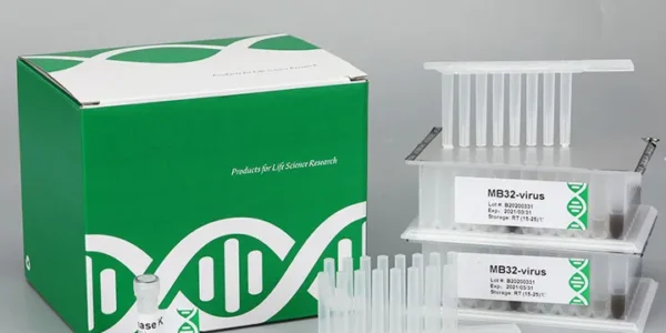 Genomic DNA extraction kit