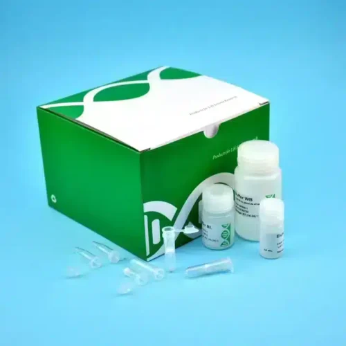 Gel DNA Purification kit