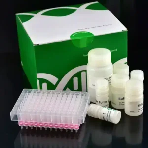 N96 genomic DN kit