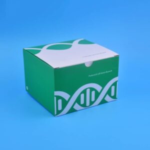 DNA purification kit