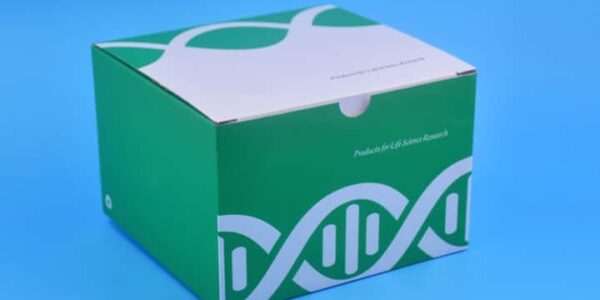 DNA purification kit