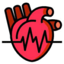 Cardiovascular