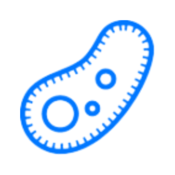 Plasmid Preparation